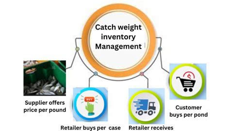 How to Calculate Catch Weight: 2023 Update .